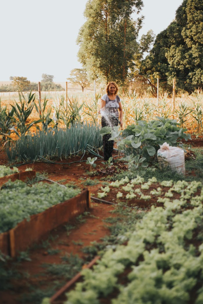 Adult woman tending to a vegetable garden surrounded by lush greenery during summer.