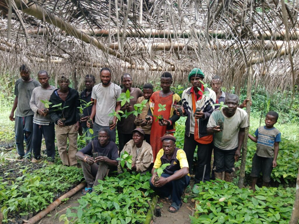 séance de partage des plants. pépinière villageoise. togo, plateaux ouest.